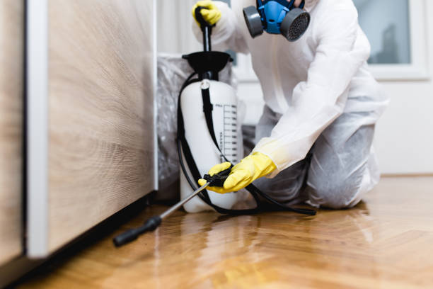 Best Bed Bug Extermination  in Fort Pierce, FL