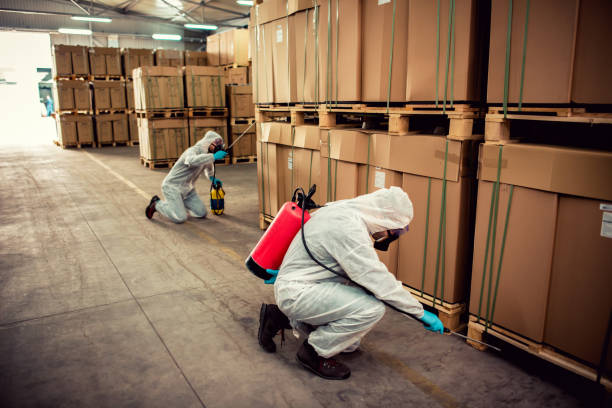 Best Pest Prevention Services  in Fort Pierce, FL