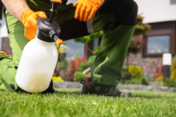 Best Pest Inspection Near Me  in Fort Pierce, FL