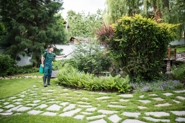 Best Ant Control Services  in Fort Pierce, FL