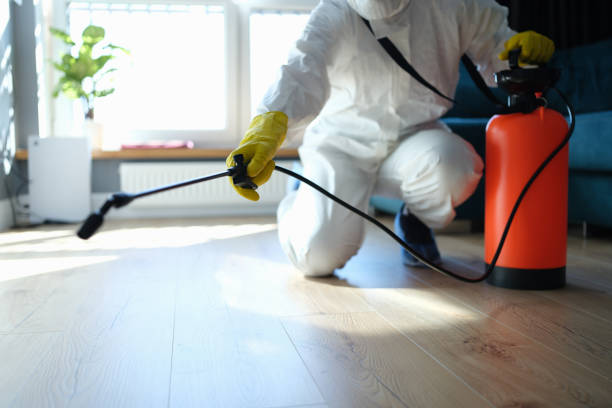 Best Pest Control Near Me in Fort Pierce, FL