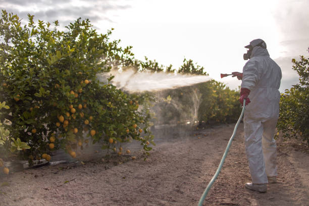 Pest Prevention Services in Fort Pierce, FL
