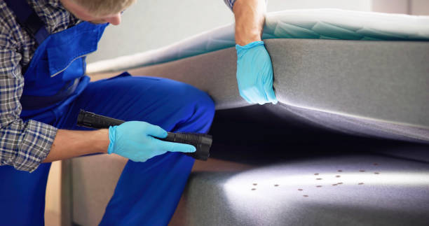 Best Pest Removal Services  in Fort Pierce, FL