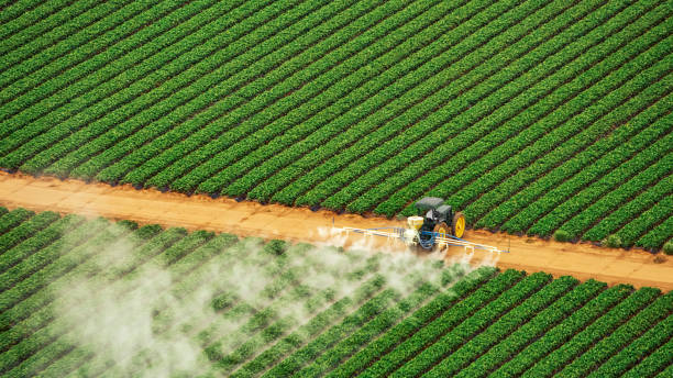 Best Mosquito Control Services  in Fort Pierce, FL
