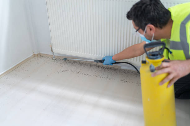 Best Ant Control Services  in Fort Pierce, FL