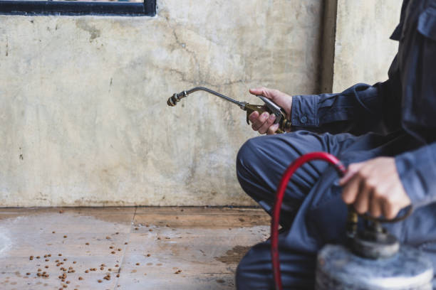 Best Pest Removal Services  in Fort Pierce, FL